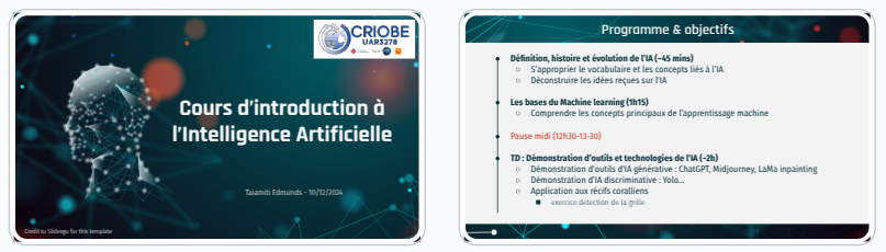 CRIOBE AI workshop visualization